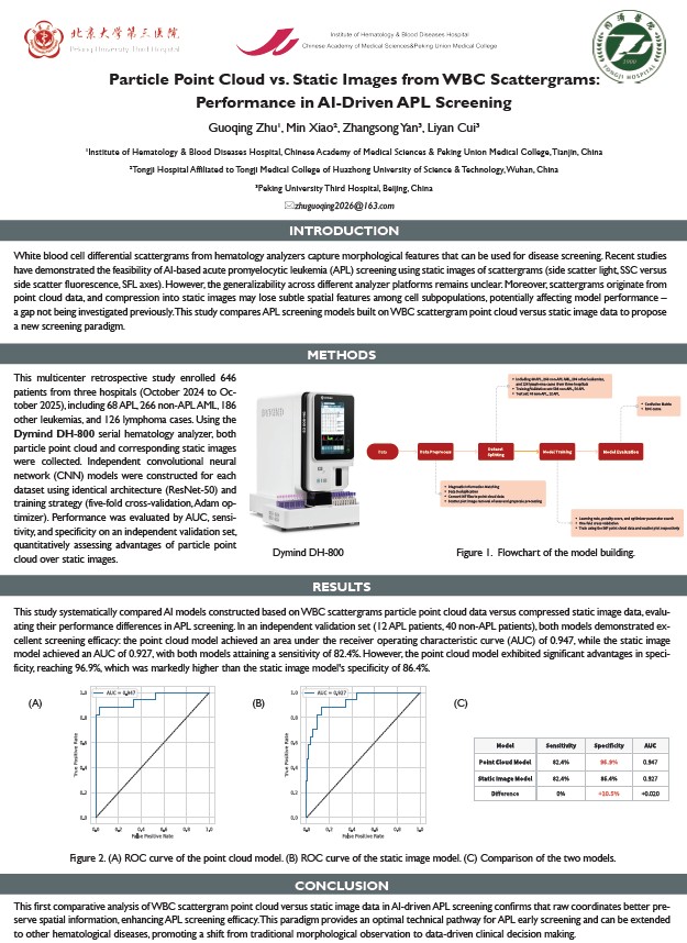 Poster 6